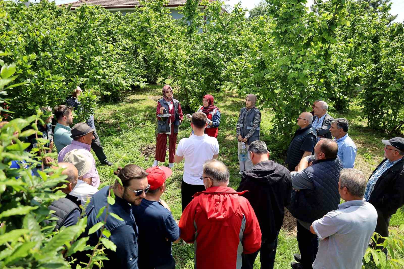 Sakarya’da Kahverengi Kokarca Kabusuyla Mücadele Başladı: Sahada Çiftçilere Feromon Tuzağı Ulaştırılıyor